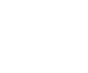 Silver Eagle